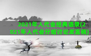 2021年人代会经典语录(2021年人代会分组讨论发言稿)