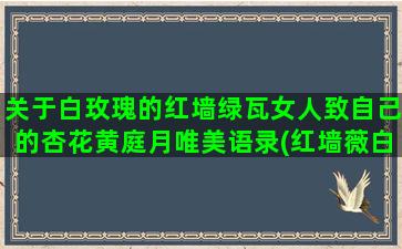 关于白玫瑰的红墙绿瓦女人致自己的杏花黄庭月唯美语录(红墙薇白玫瑰歌词)