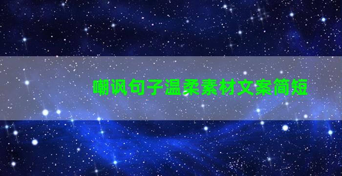 嘲讽句子温柔素材文案简短