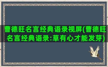 曹德旺名言经典语录视屏(曹德旺名言经典语录:草有心才能发芽)