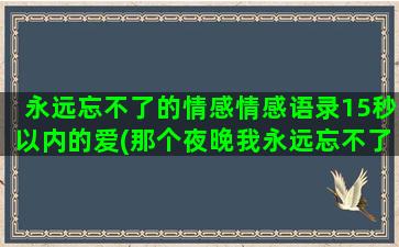 永远忘不了的情感情感语录15秒以内的爱(那个夜晚我永远忘不了)