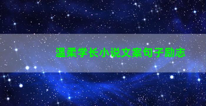 温柔学长小说文案句子励志